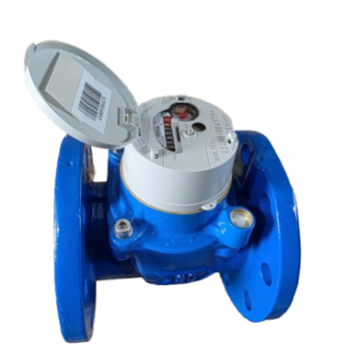Đồng hồ Itron hiệu Woltex DN 80