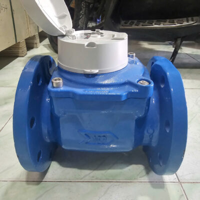 Đồng hồ đo nước hãng Itron hiệu Woltex DN100